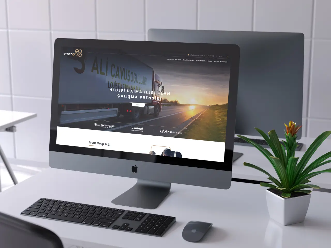 erser group web çalışması