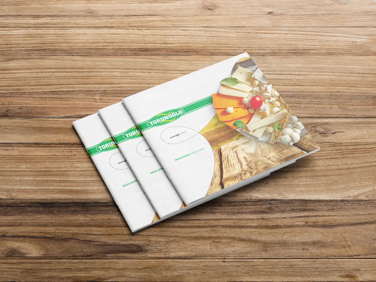 Torunoğlu Katalog Çalışması